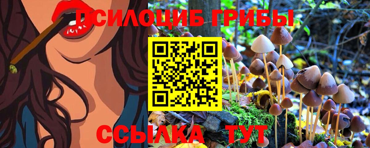 Псилоцибиновые грибы Psilocybe Шарыпово