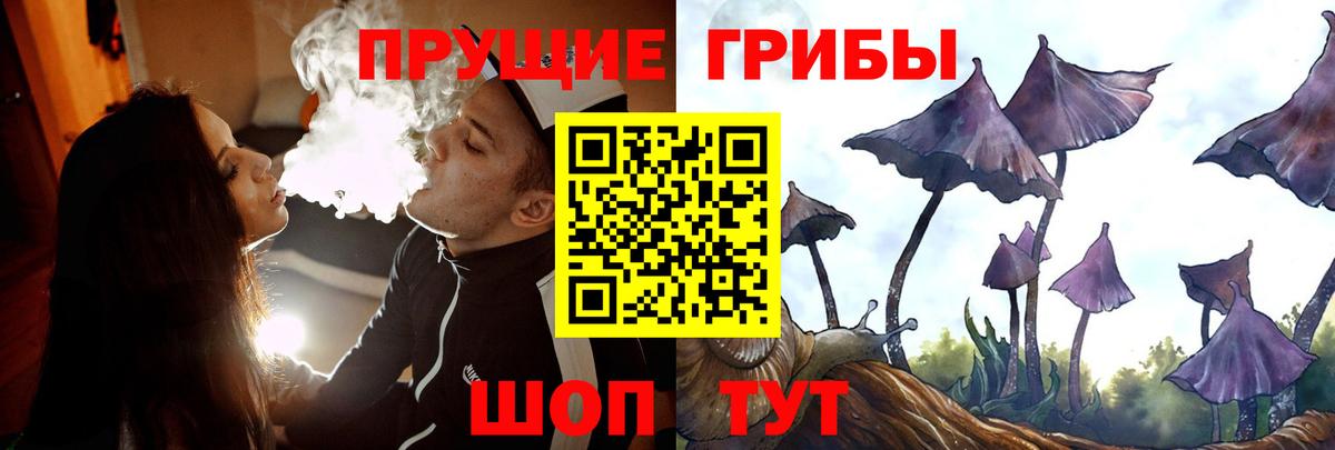 Шарыпово  Псилоцибиновые грибы Cubensis  Вход с VPN 